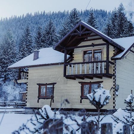 Villa 7+Я Verkhovyna Exterior foto