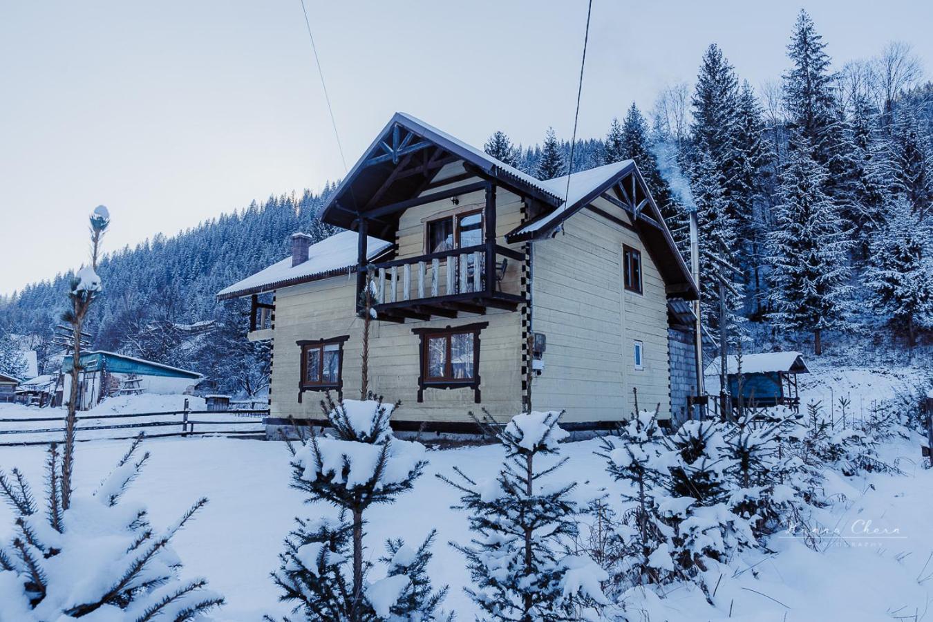 Villa 7+Я Verkhovyna Exterior foto